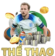 Đá Gà Thomo